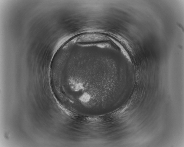 X0000097801231200804110916