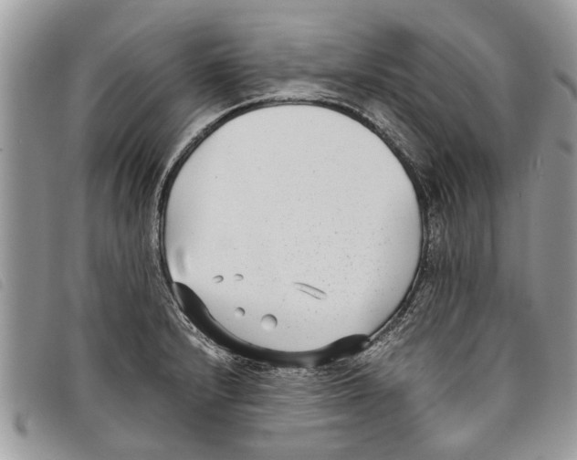 X0000097801232200804110916