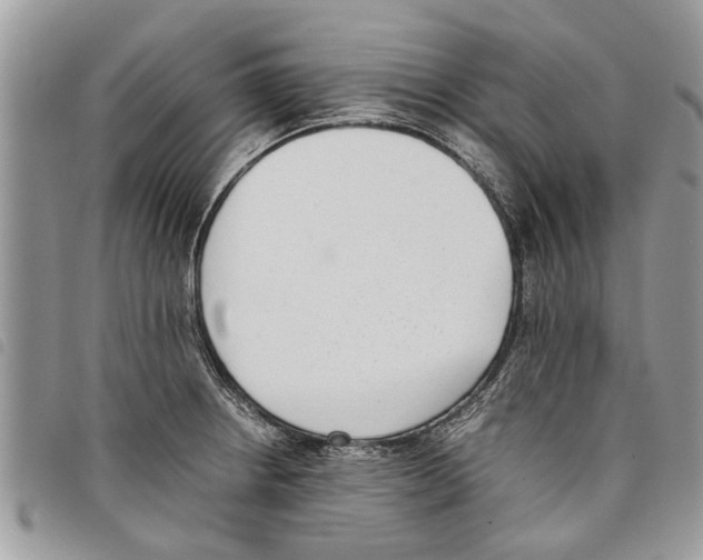 X0000097801234200804110916