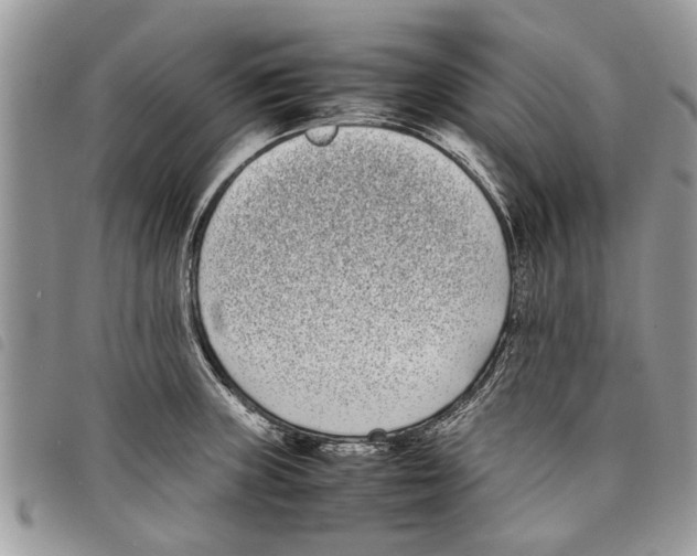 X0000097801235200804110916