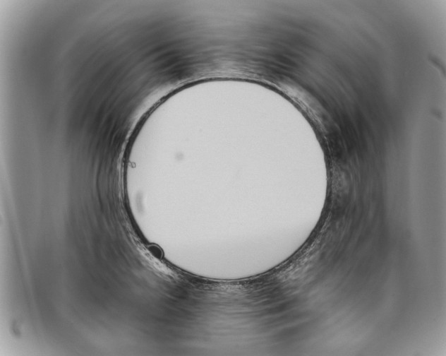 X0000097801238200804110916