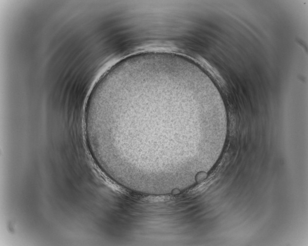 X0000097801240200804110916