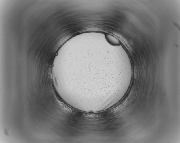 X0000097801241200804110916