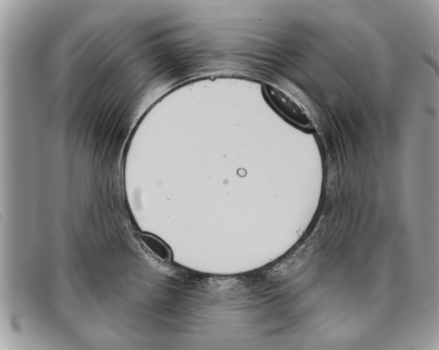 X0000097801242200804110916