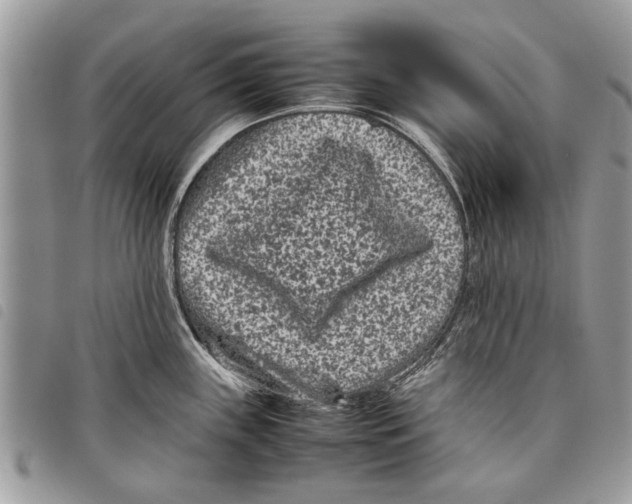 X0000097801243200804110916