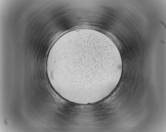 X0000097801244200804110916