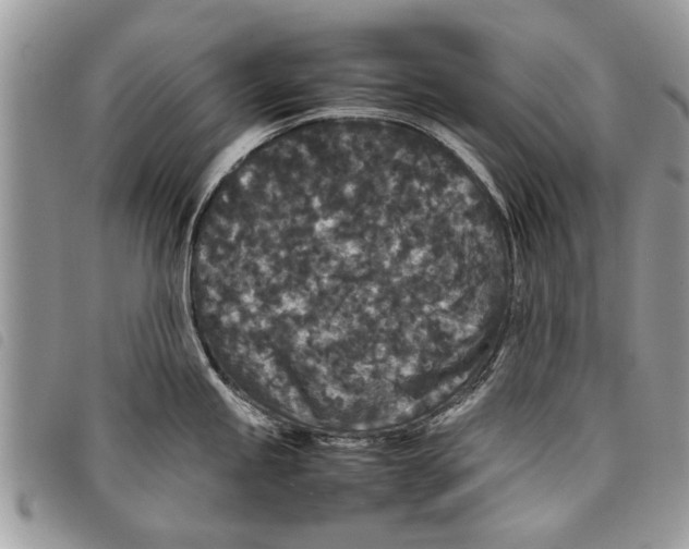 X0000097801245200804110916