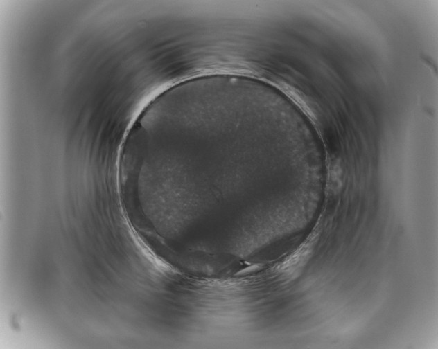 X0000097801246200804110916