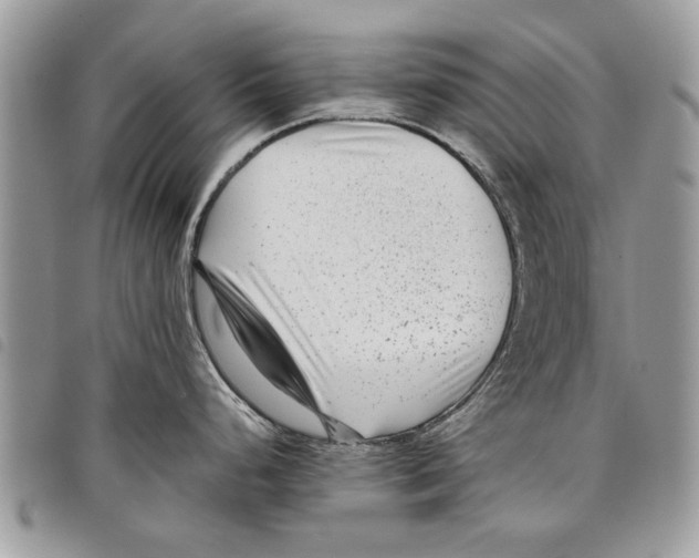 X0000097801248200804110916