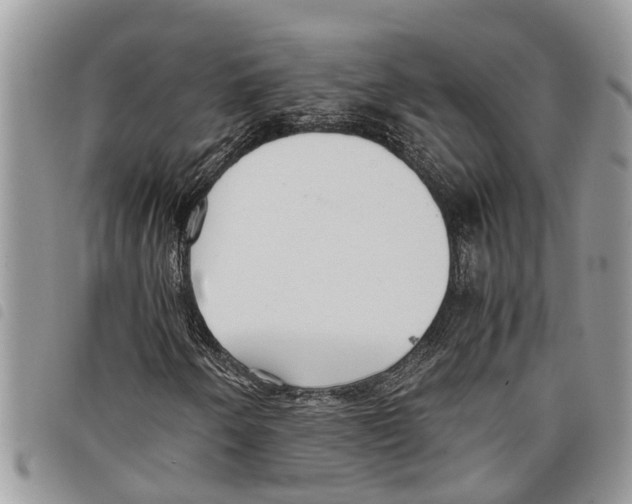 X0000097801250200804110915