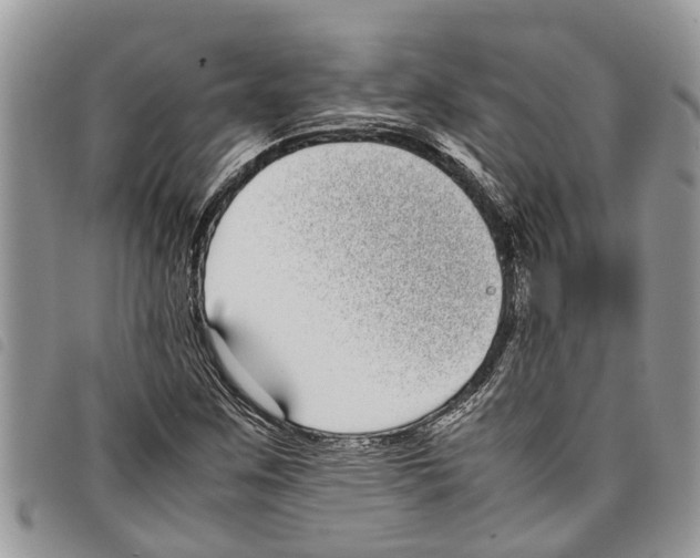 X0000097801259200804110915