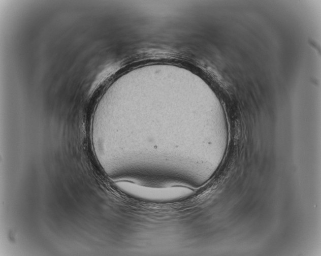 X0000097801261200804110915