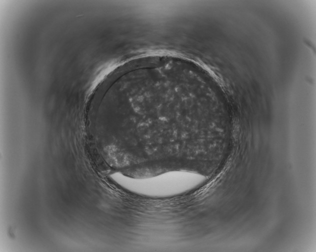 X0000097801263200804110915