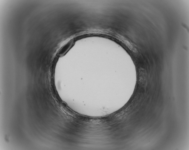 X0000097801264200804110915