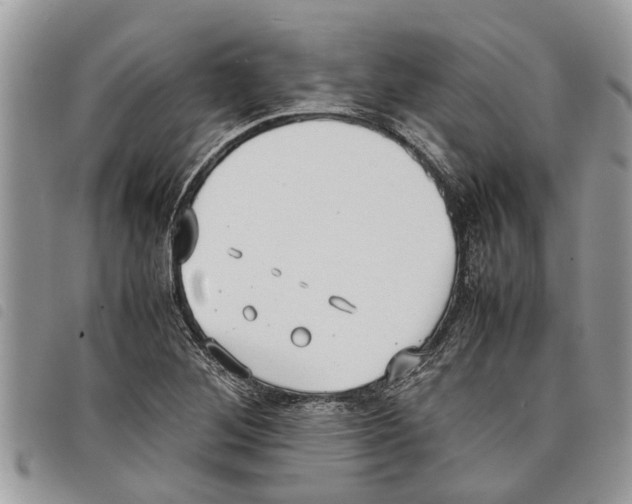 X0000097801268200804110915