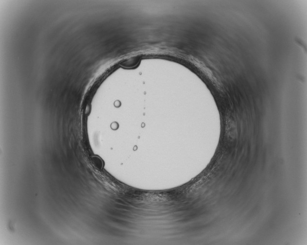 X0000097801270200804110915