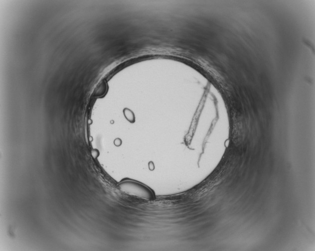 X0000097801272200804110914