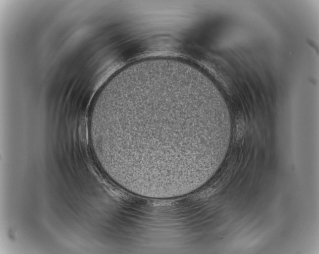 X0000097801274200804110914