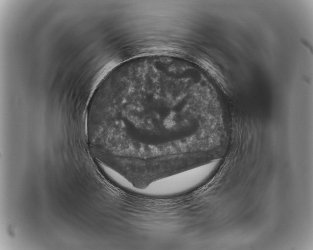 X0000097801275200804110914