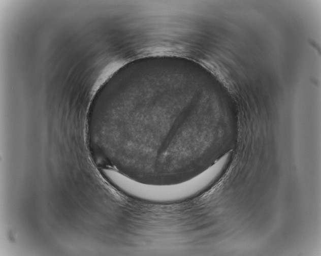 X0000097801277200804110914