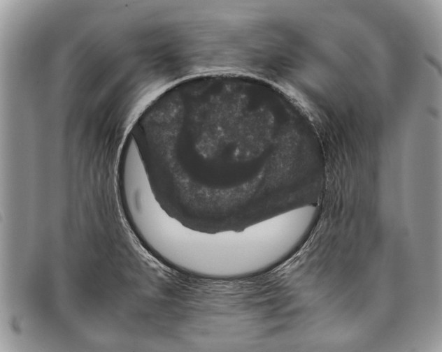 X0000097801279200804110914