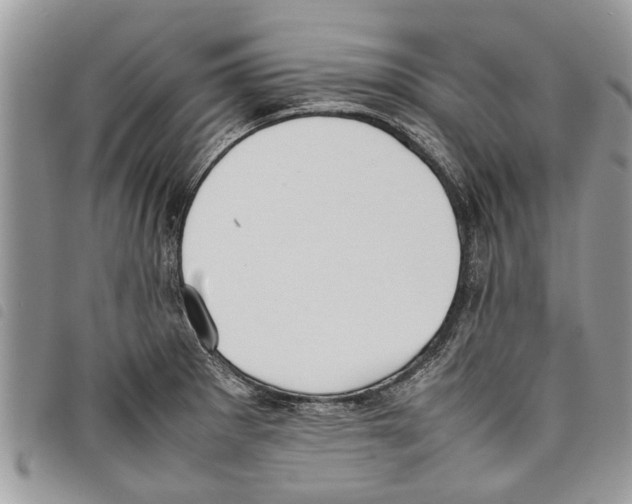 X0000097801281200804110914