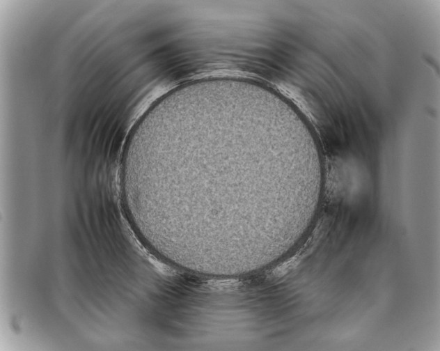 X0000097801282200804110914