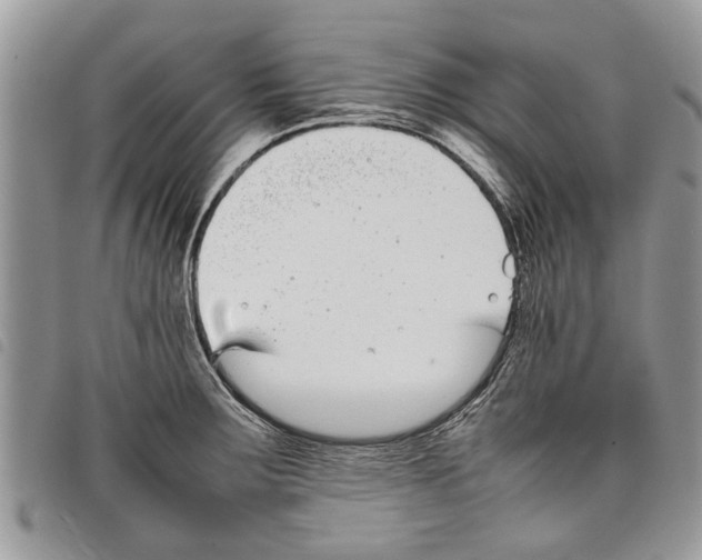 X0000097801283200804110914