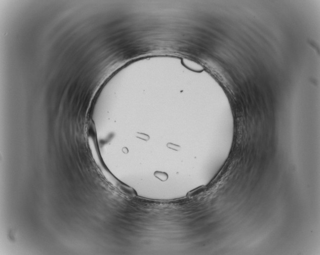 X0000097801284200804110914