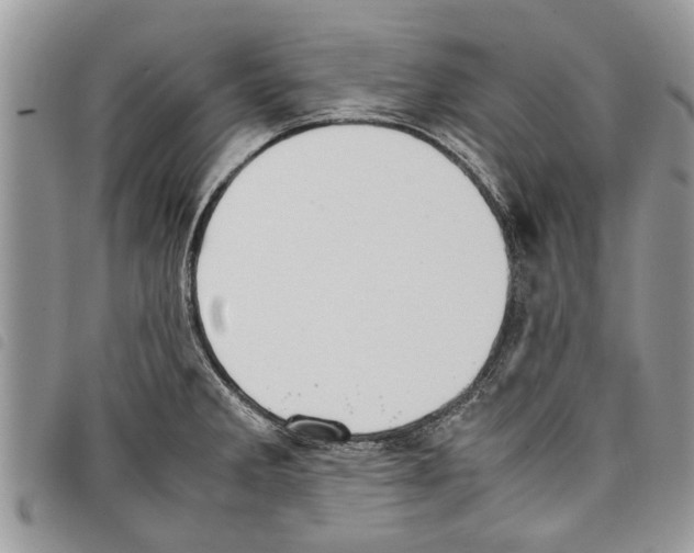 X0000097801285200804110914