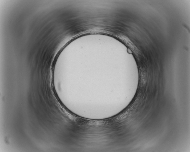 X0000097801286200804110914