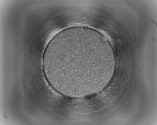 X0000097801287200804110914