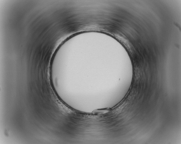 X0000097801288200804110914