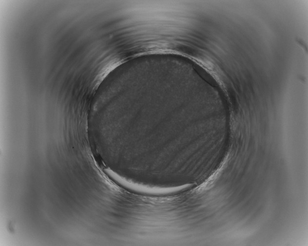 X0000097801289200804110914