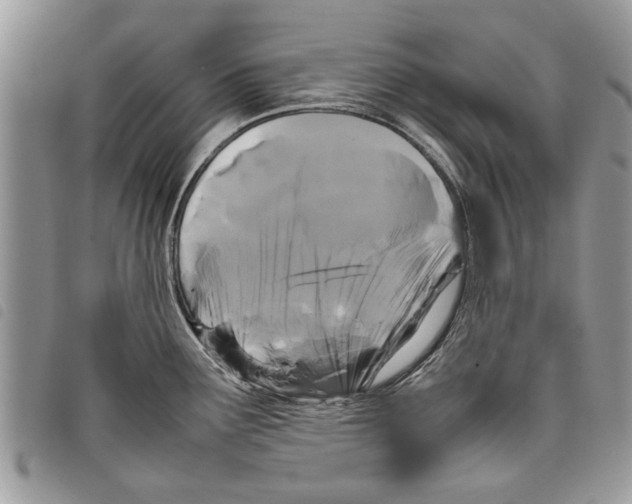 X0000097801291200804110914