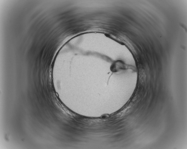 X0000097801292200804110914