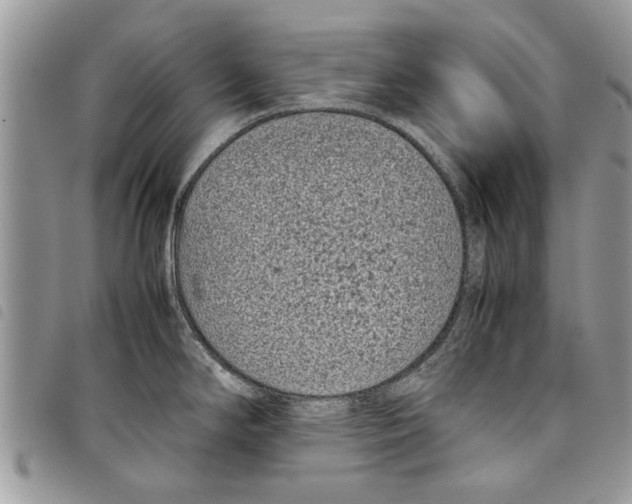 X0000097801294200804110914