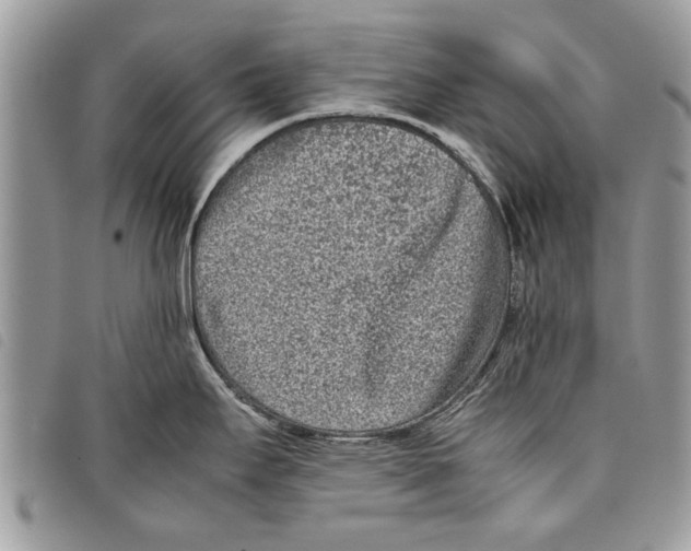 X0000097801295200804110914