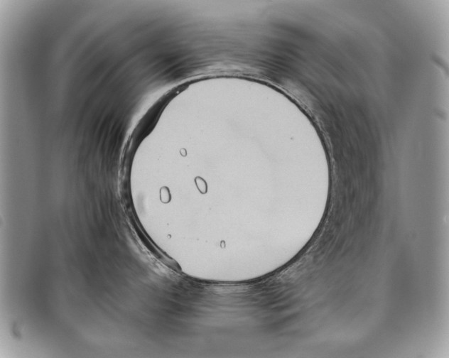 X0000097801296200804110914