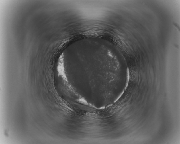 X0000097801297200804110913