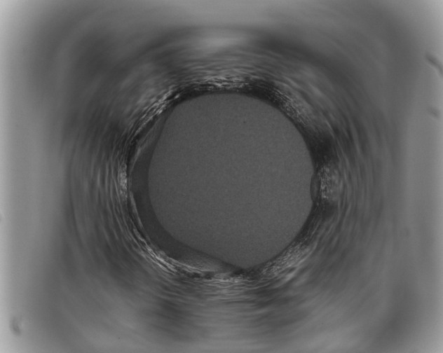 X0000097801298200804110913