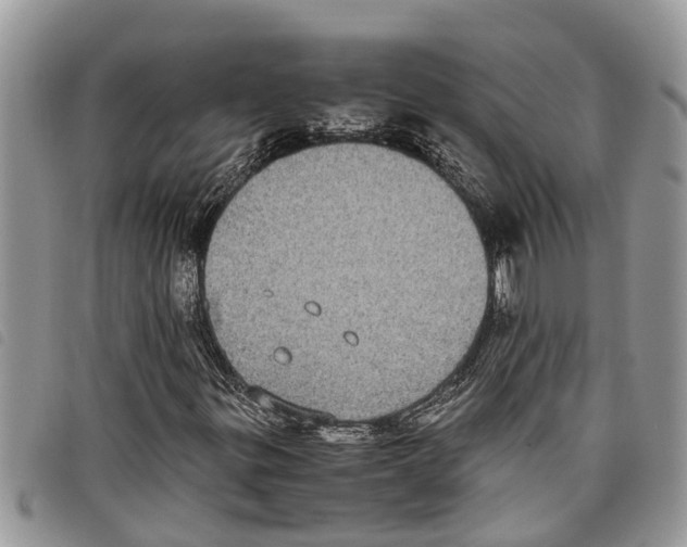 X0000097801299200804110913