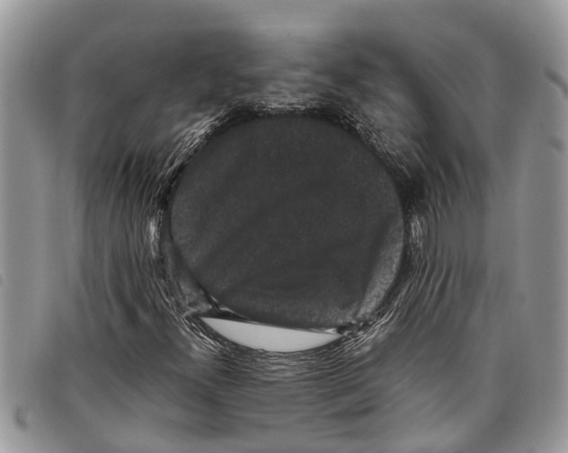 X0000097801300200804110913