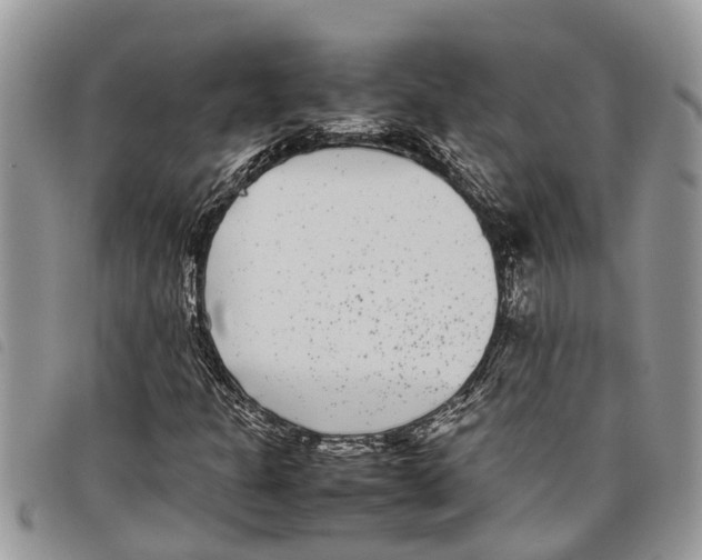 X0000097801301200804110913