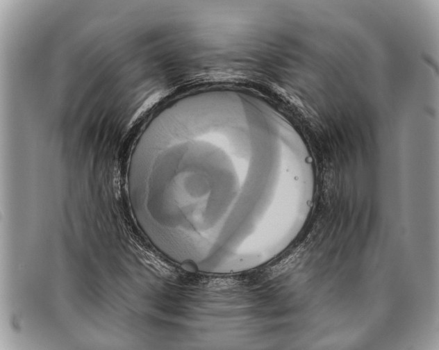 X0000097801306200804110913