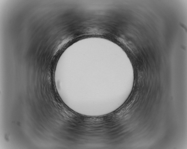 X0000097801307200804110913