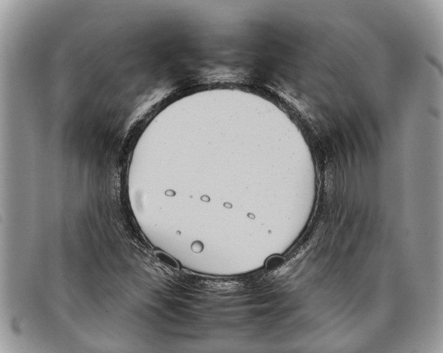 X0000097801309200804110913