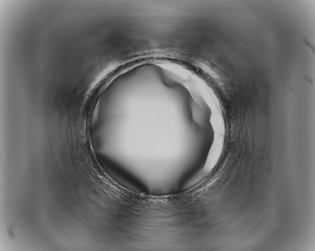 X0000097801310200804110913