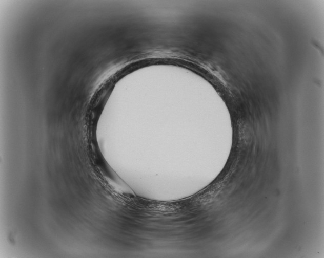 X0000097801311200804110913