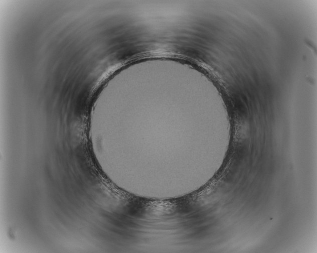 X0000097801314200804110913